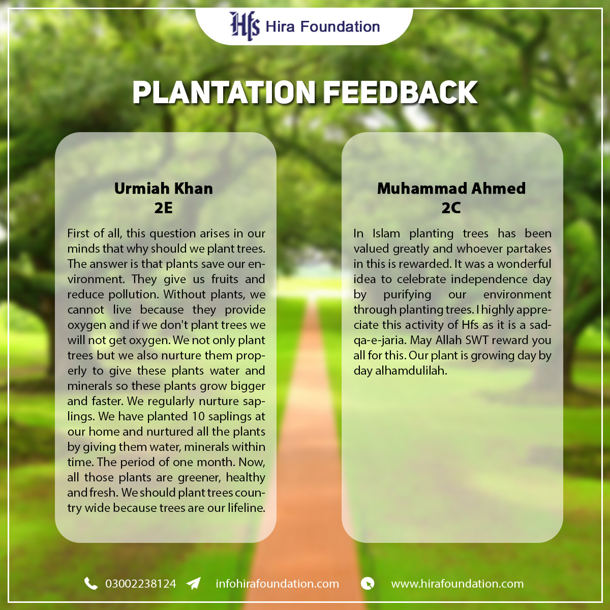 Plantation feedback