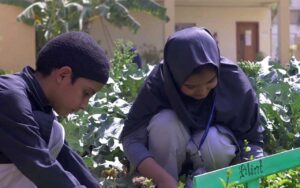 hira Foundation Student Activity